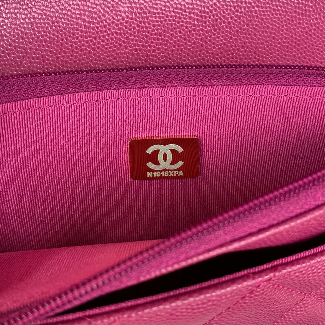 CHLSmall Flap Bag Gold Hardware Plum For Women, Women&#8217;s Handbags, Shoulder Bags 7.5in/19cm AP2840