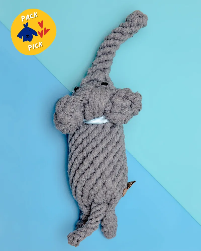 Coco the Elephant Rope Dog Toy