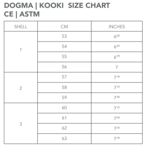 KASK Dogma Chrome Helmet