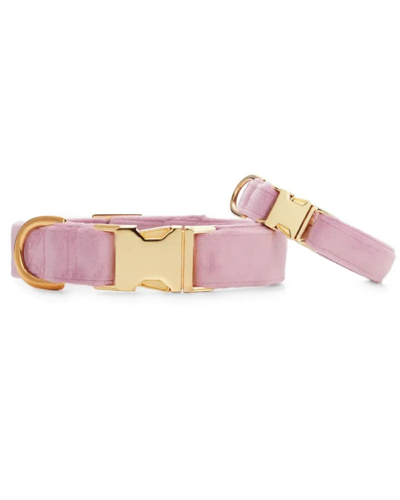 Lilac Velvet Dog Collar (Made in the USA) (FINAL SALE)
