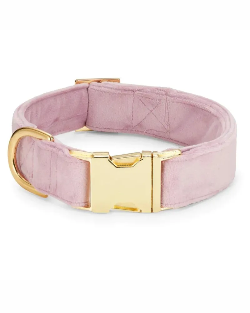 Lilac Velvet Dog Collar (Made in the USA) (FINAL SALE)
