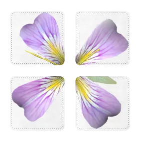 PurpleFlower3 Sublimation Coasters Pack of Four