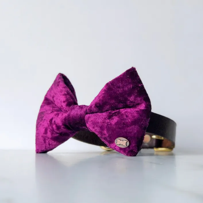 Winning Wine Velvet Dog Bow Tie
