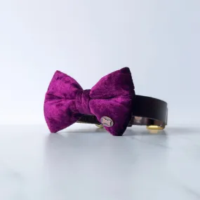 Winning Wine Velvet Dog Bow Tie